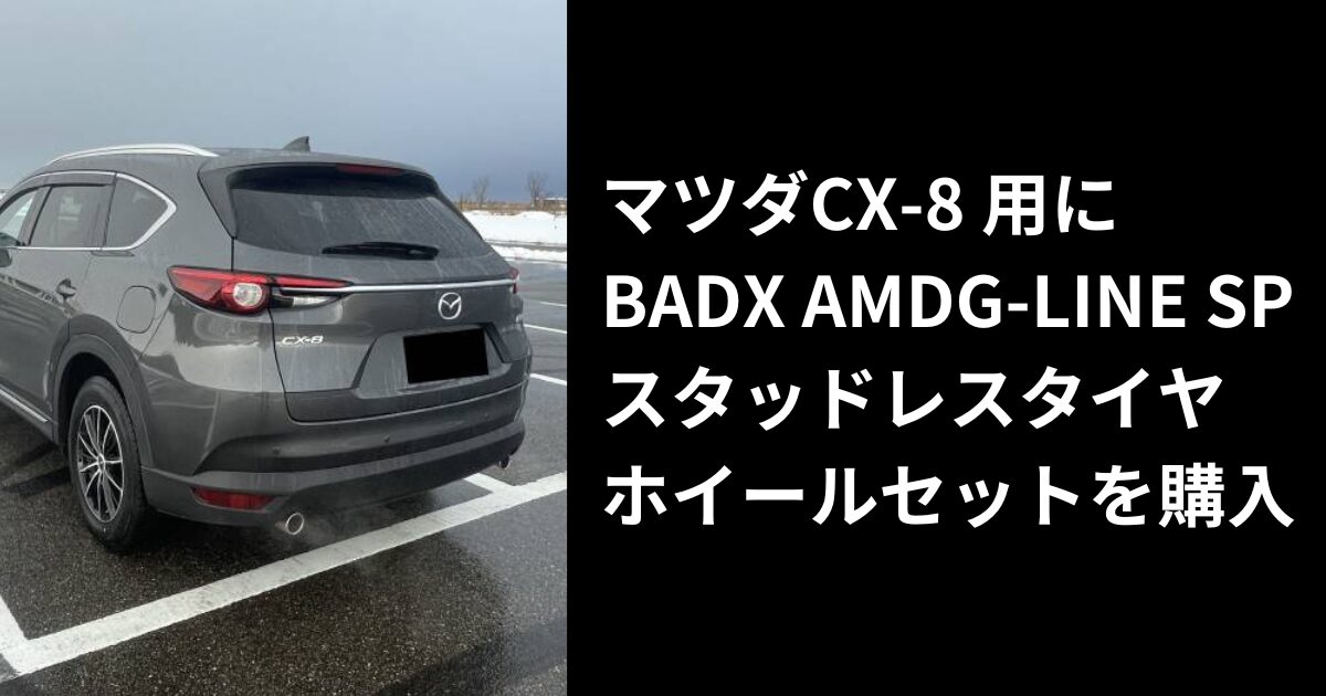 【CX-8】BADX(バドックス) AMDG-LINE SP スタッドレスタイヤホイールセット